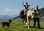 <p>Multi-day trekking or walk in the Spanish Pyrenees, with or without donkey. Routes and camping in nature.</p>