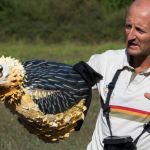 Observing birds of prey with a guide