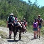 underway donkey trekking