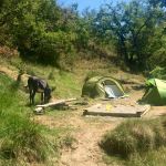 Tents near the borda