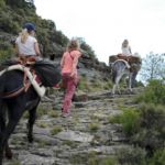 underway donkey trekking