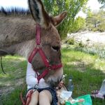 Donkey day