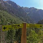 Clear signs