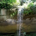 Cueva del anis