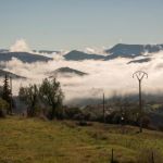South: the lower Pyrenees