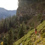 Beautiful varied paths through the national park