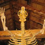 Skeleton in the museum