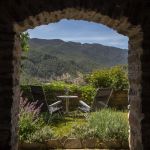 Garden with nice seating areas